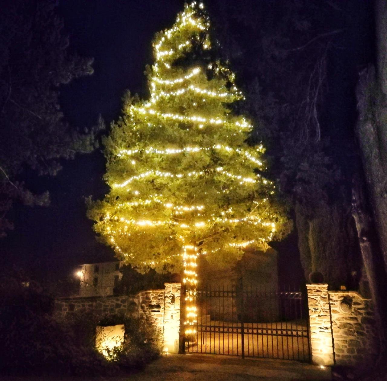 Casa Vacanze Villa Maria Anghiari Luaran gambar
